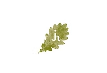 Logotipo Jh